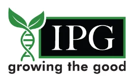 Collaborator logo: IPG